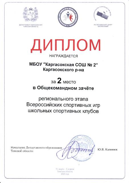 ШСК достижения.