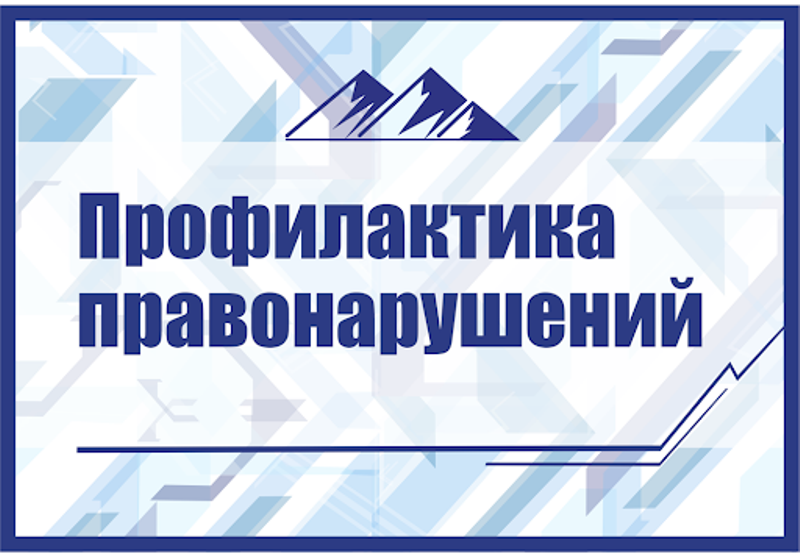 «Профилактика правонарушений несовершеннолетних».