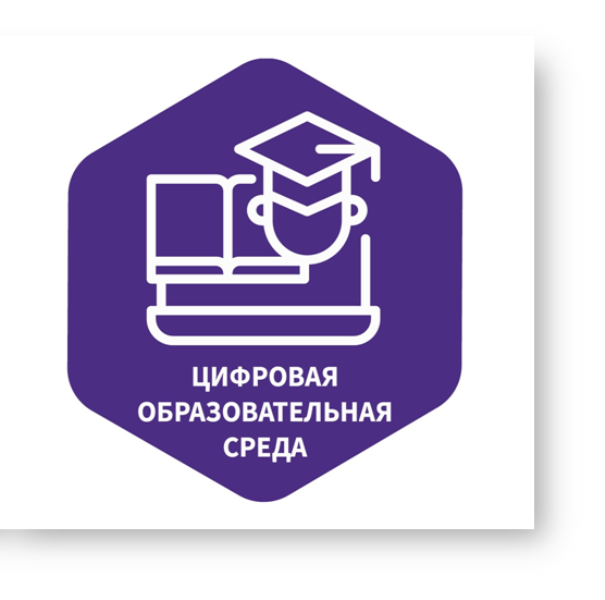 «Цифровая образовательная среда: от рисков к комфорту и безопасности».