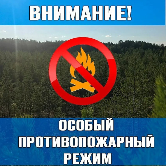 В Томской области с 3 по 31 июля установлен особый противопожарный режим.